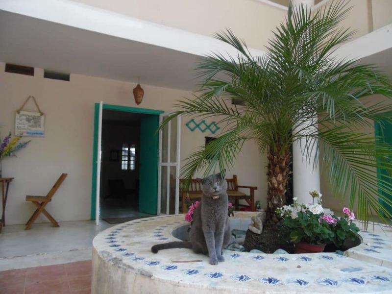 Posada James San Luis Potosi Bagian luar foto